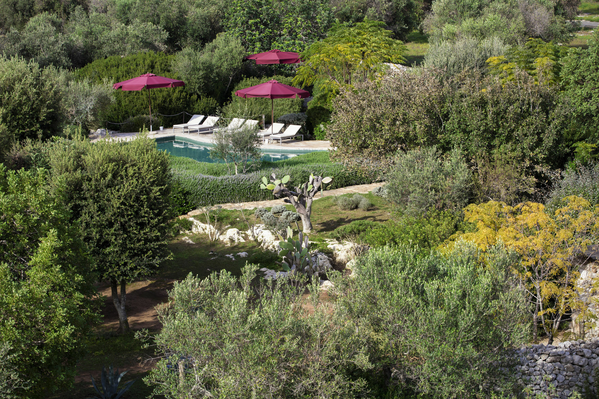 Masseria Don Cirillo Ugento Extérieur photo